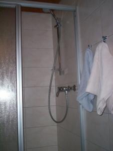 索尔陶Pension Im Rehwinkel的浴室提供白色毛巾和淋浴。