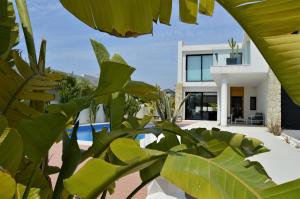 LlobregalesVilla with private pool的绿色植物房屋的景色