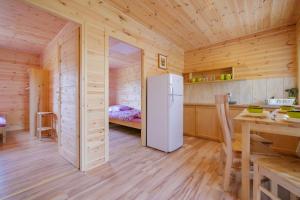 鲁斯诺沃Rodzinne Rusinowo的小木屋内带冰箱的厨房