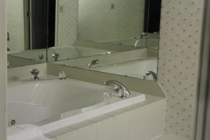 纳什维尔苹果安妮旅馆的一间带浴缸和大镜子的浴室