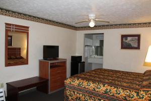 纳什维尔苹果安妮旅馆的配有一张床和一台平面电视的酒店客房