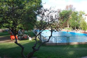 瓜伊马延Hotel Savoia Mendoza的两棵树的公园内的游泳池