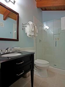 马姆莫斯湖猛犸溪酒店的一间带卫生间和玻璃淋浴间的浴室