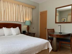 迈阿密海滩维斯凯酒店的一间卧室配有一张床、一张书桌和一面镜子
