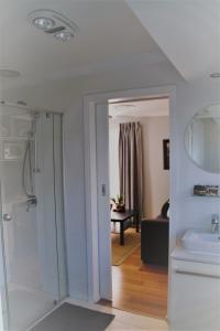 布里斯班纸张住宿加早餐旅馆的一间带玻璃淋浴和水槽的浴室