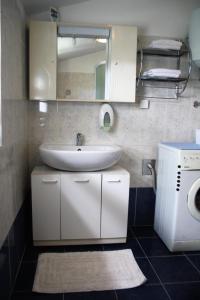 莫托文Apartman Monte Rudina的一间带水槽和洗衣机的浴室