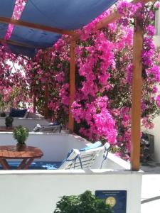 纳克索乔拉Doron Hotel Delfini的一个带粉红色九重葛的庭院