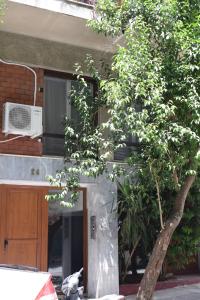 雅典Fotini's appartment的树在建筑物前方,有窗