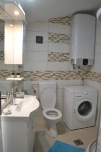里桑Apartments Niković的浴室配有卫生间、盥洗盆和洗衣机。