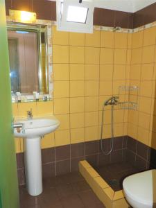 利迈纳里亚扎科公寓的一间带水槽和淋浴的浴室
