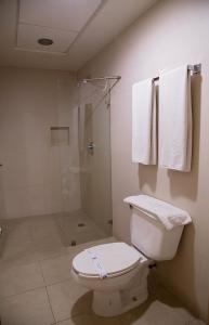 米纳蒂特兰Hotel Madrid Minatitlán的一间带卫生间、淋浴和毛巾的浴室
