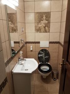奥拉迪亚La Siesta Apartments Oradea的浴室设有黑色的卫生间和水槽。
