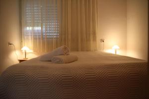Neot GolanKinneret Guesthouse的一间卧室配有一张带两盏灯的大型白色床。
