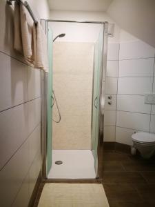 Schwanberg施万酒店及餐厅的浴室里设有玻璃门淋浴