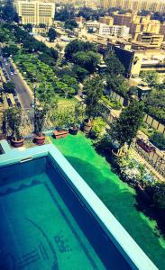 开罗皇家元帅酒店的市景游泳池