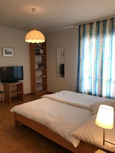 施伦贝格克朗宾馆的一间卧室配有两张床和一台平面电视