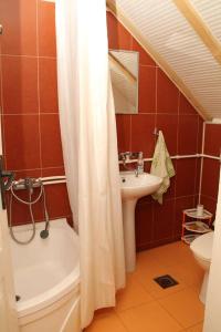 克鲁舍沃**ETNO Vila** - KRUSEVO的浴室配有淋浴帘和盥洗盆。