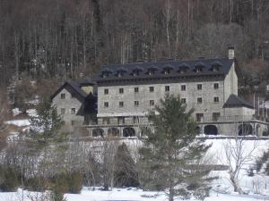 伊斯皮尔巴贝尔萨帕拉多尔酒店的森林旁的大雪地建筑