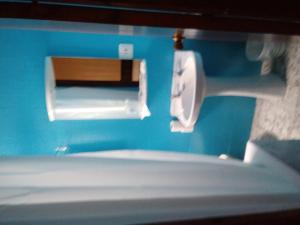 圣卡洛斯拉腊皮塔坎玛丽尼斯旅馆的浴室设有蓝色墙壁内的卫生间