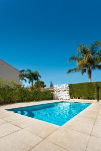 德尼亚维拉莫尔酒店的棕榈树庭院内的游泳池