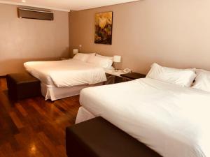 圣伊西德罗圣伊西德罗广场酒店的酒店客房配有两张床和一张书桌