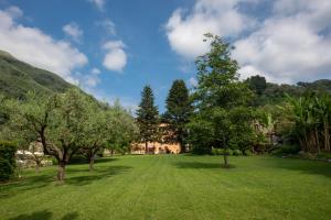 卡麦奥雷Relais Corte Rodeschi的一片种有树木和房子的大草地