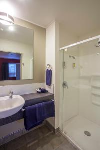 新普利茅斯兰德马克庄园酒店的一间带水槽和淋浴的浴室