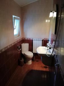特罗扬博亚娜宾馆的一间带卫生间和水槽的浴室