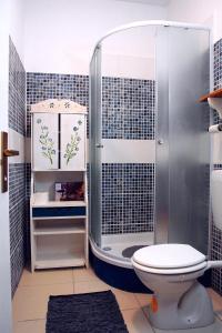 斯塔拉巴斯卡MaraMare Apartments的带淋浴和卫生间的浴室