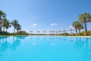 贝纳卢普-卡萨斯维耶哈斯费尔普莱高尔夫Spa度假酒店的一座棕榈树环绕的大型游泳池