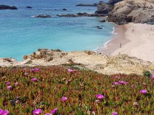科武港A Casinha da Baía的一片满是粉红色花朵和水的海滩