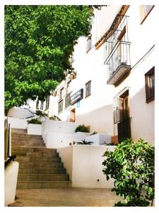 奥罗佩萨德尔马乐斯科拉塔旅舍的通往白色建筑的楼梯