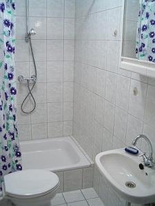 法尔肯塞柏林宾希阿姆希湖畔B&B酒店的带淋浴、卫生间和盥洗盆的浴室