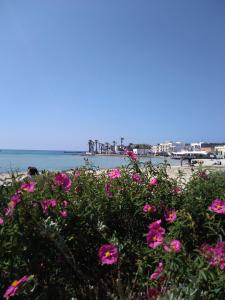 切萨雷奥港Stanze Agli Ulivi的海滩上一束粉红色的鲜花