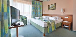 赫纳尼斯快乐星养生酒店的配有一张床和一台平面电视的酒店客房