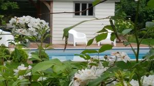 让布卢勒萨特克拉尔酒店的游泳池前种有白色花的花园