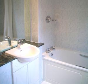 威廉堡亚历山大酒店的浴室配有盥洗盆、浴缸、卫生间和盥洗盆。