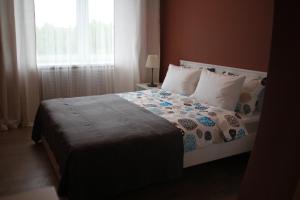 圣彼得堡邦邦切公寓的一间卧室设有一张床和一个窗口