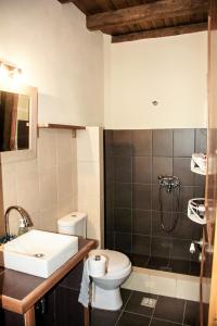 TselendátaNostos Residence - Apartment Terra的一间带卫生间和水槽的浴室