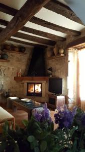 奥尔塔-德圣胡安Casa Templers的客厅设有壁炉和电视。