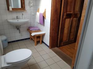 加姆利茨Weingut-Gästezimmer Pongratz的一间带卫生间和水槽的浴室