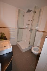 施泰克博恩巴切佩勒公寓 的带淋浴、卫生间和盥洗盆的浴室