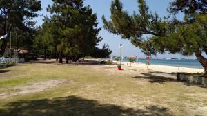 斯卡拉拉乔伊For Nature Lovers的海滩旁的公园,有树木和水