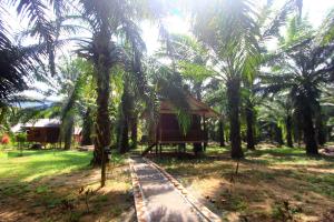 考索考索棕榈景观度假酒店的棕榈树田间的小小屋