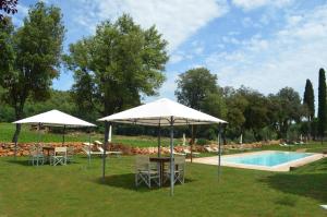 圣吉米纳诺La Tenuta di Castelvecchio的游泳池配有两把遮阳伞、椅子和桌椅