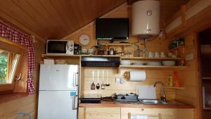 卡特兹奥布萨维Gnezdo Vid-ik的小屋内的厨房配有冰箱和水槽