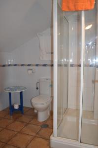 QuintesLa Casona de Quintes的一间带卫生间和玻璃淋浴间的浴室