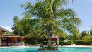 萨利波图尔Villa Type Africaine的游泳池旁的棕榈树