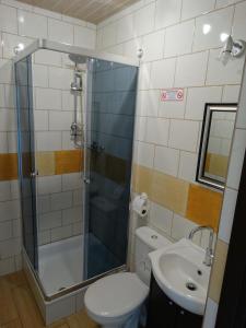 Krajno Pierwszeu Skiby的带淋浴、卫生间和盥洗盆的浴室