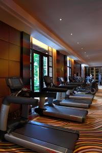上海浦东星河湾酒店的健身中心和/或健身设施